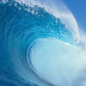 Meet your Posher, Mischief